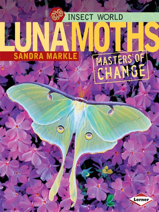 Title details for Luna Moths by Sandra Markle - Available
